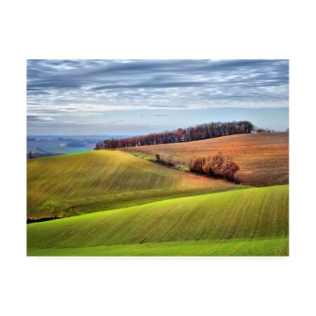 Colby Chester 'Pastoral Countryside Xx' Canvas Art,35x47